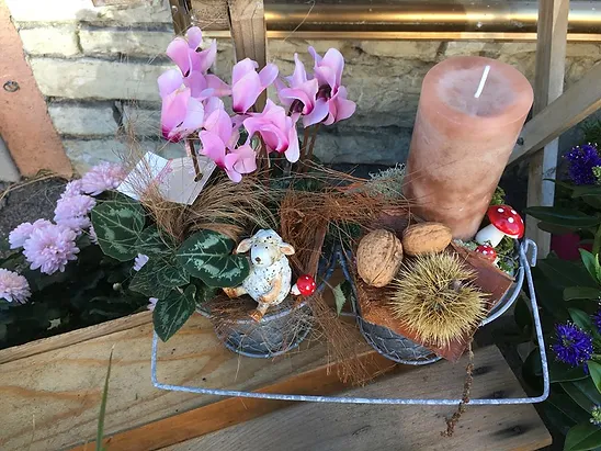 Halloween A La Fleur De Lotus Yverdon