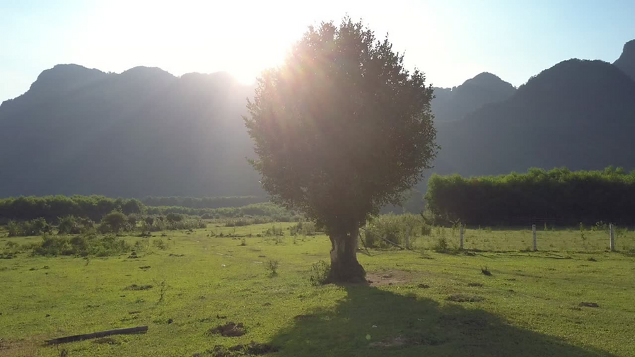 MINIATURA 23 may 2025.png