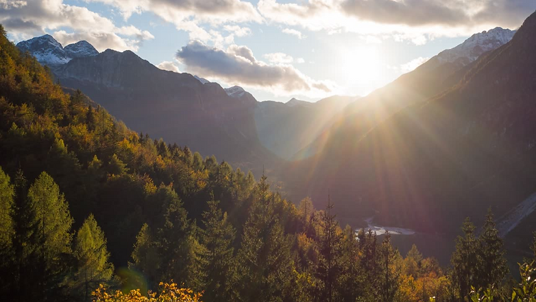 MINIATURA VIG 25 ABR 2925.png