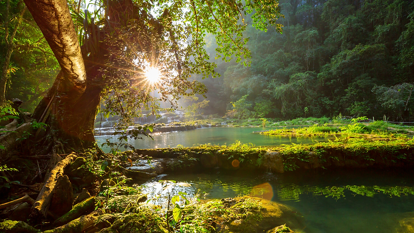 MINIATURAS ANUNCIOS Y MANIFIESTOS.png