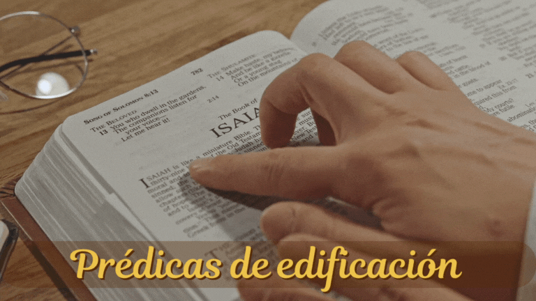 5.gif