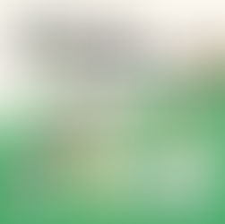 피란수도 부산 1023일의 기록 여행 스토리텔링