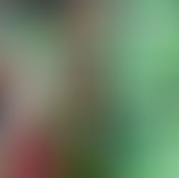 현대차, 생물다양성 캠페인 <Colorful Life> 진행