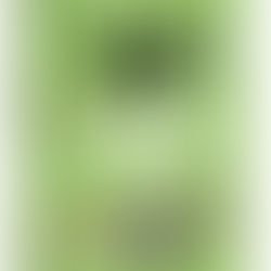 해냄에듀 ‘도덕적 시민의 눈으로 세상 읽기’ 개정판 출간