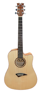 Acoustic Guitar
