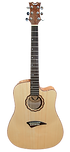 strings guitar school ギター教室 アコースティックギターレッスン アコギレッスン エレキギターレッスン 久留米市 柳川市 八女市 大川市 みやま市 佐賀市 鳥栖市 音楽教室