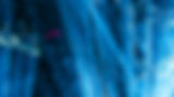 DSC02778-Enhanced-NR.jpg