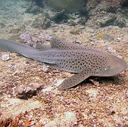 500405813_9970317503082232_7187159138545398013_n (1) (1)_edited.jpg