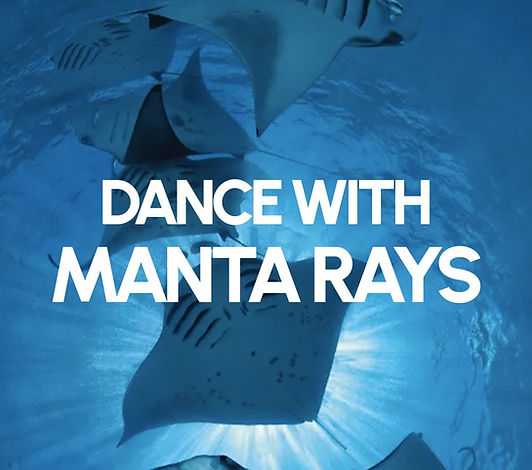 dance with manta (3) (1).jpg