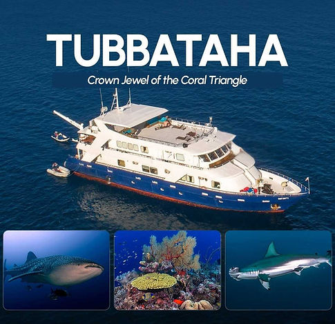 Oceaon - Square Posts (75).jpg