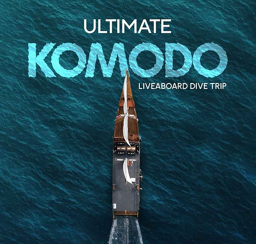 Oceaon - Square Posts.jpg