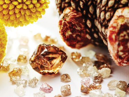 Coloured diamonds gain popularity as they fetch high prices at auctions