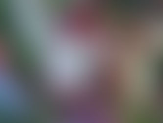 Diamonds That Rocked Our Instagram in 2021