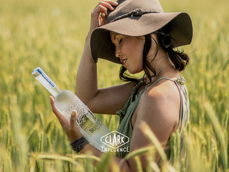 How can influence marketing help brands operating in the alcohol industry