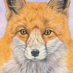 Vibrant, large, fox watching, in the style of hyperrealism, with a pastel cool background, in the medium of oil on canvas.