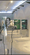 inau_1.gif