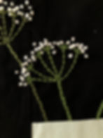 Detail of Cow Parsley embroidery on Cow Parsley Sprigs in Striped Vase textile art wall hanging by Beth Osment Textiles