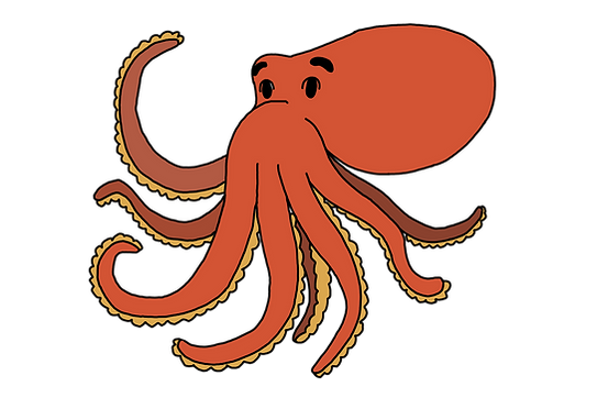 octopus.png