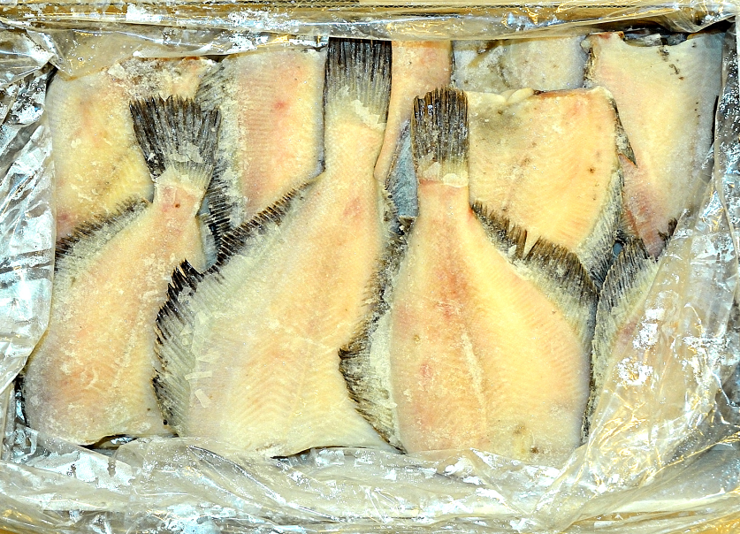 黄金カレイ 5kg 商品番号gy00003