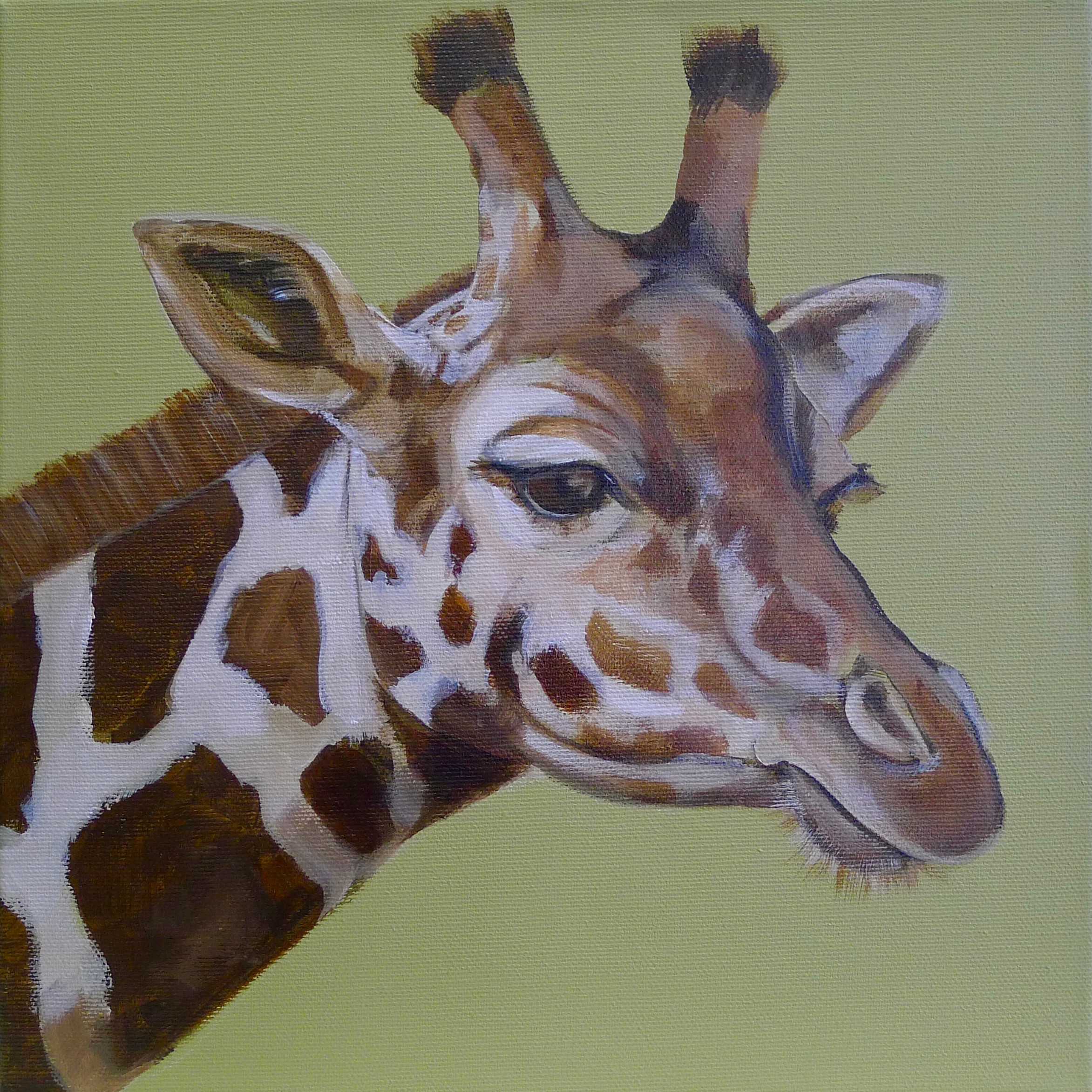 The Giraffe