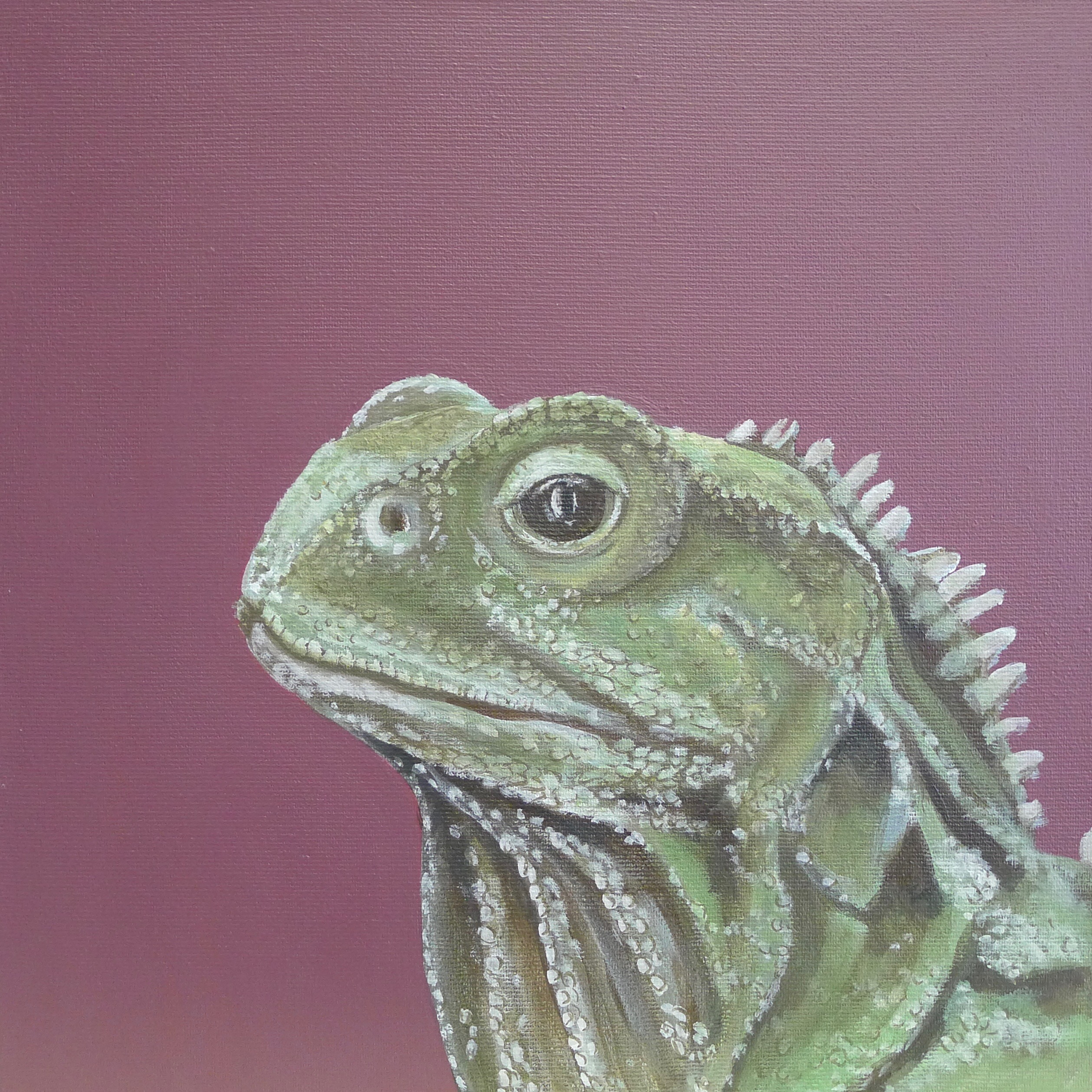 The Tuatara