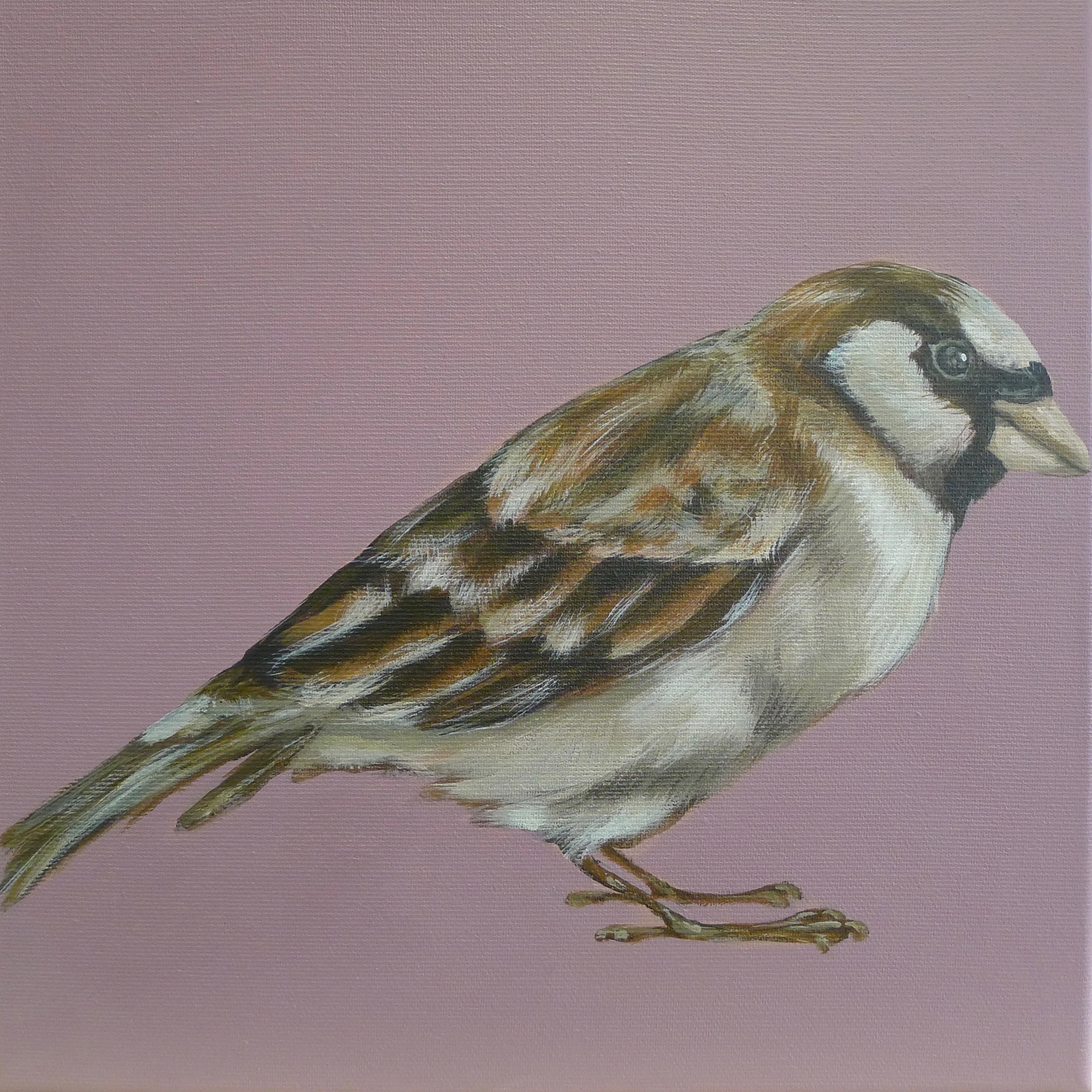 The Sparrow