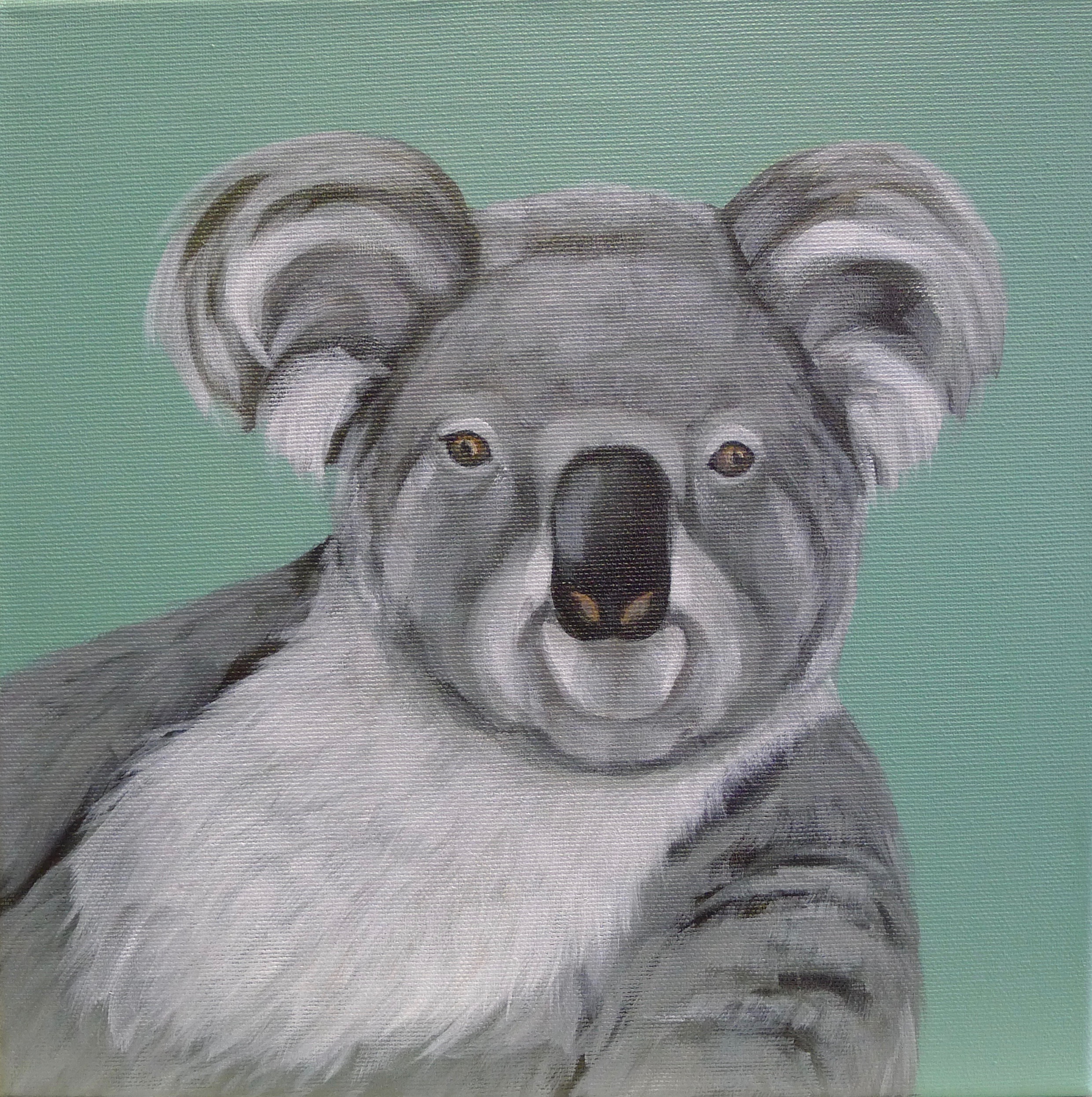The Koala