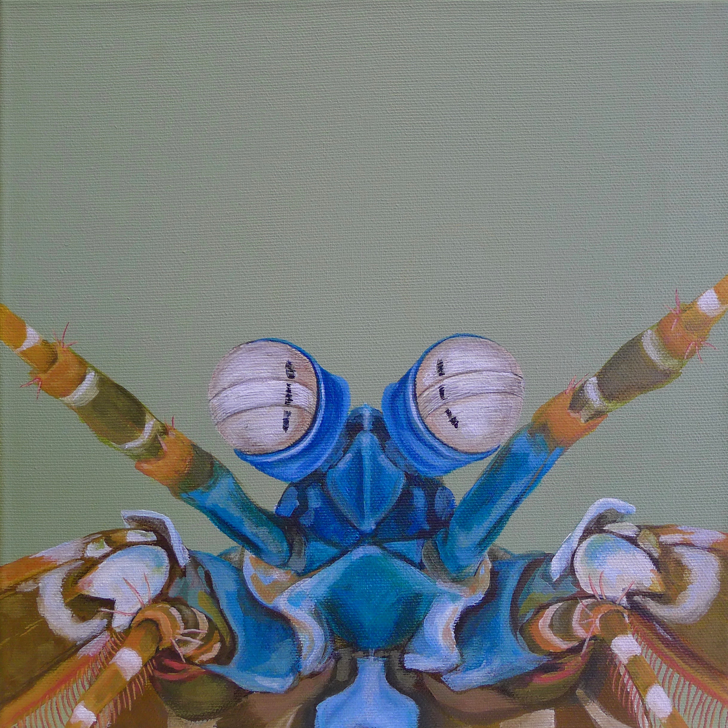 The Mantis Shrimp