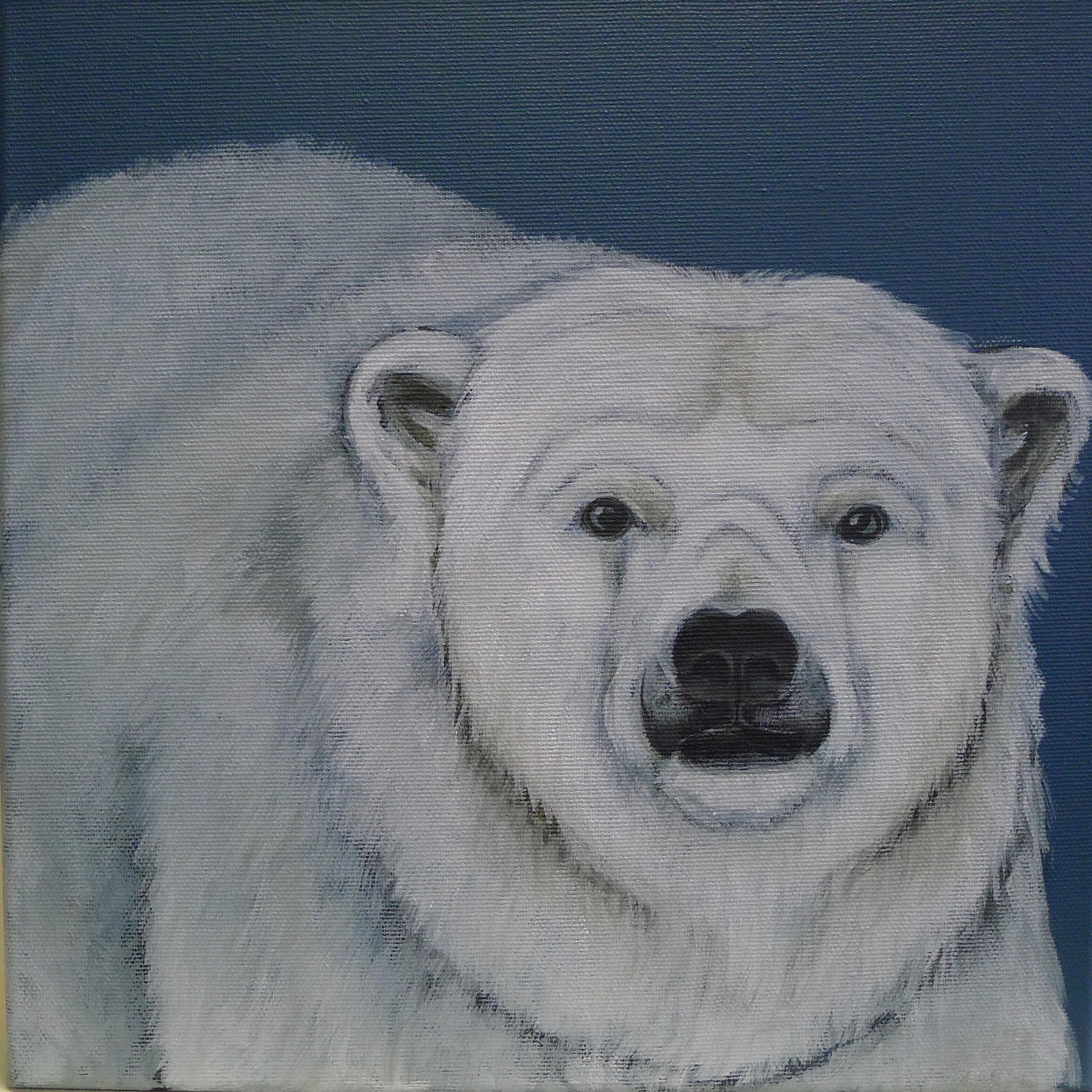 The Ice Bear