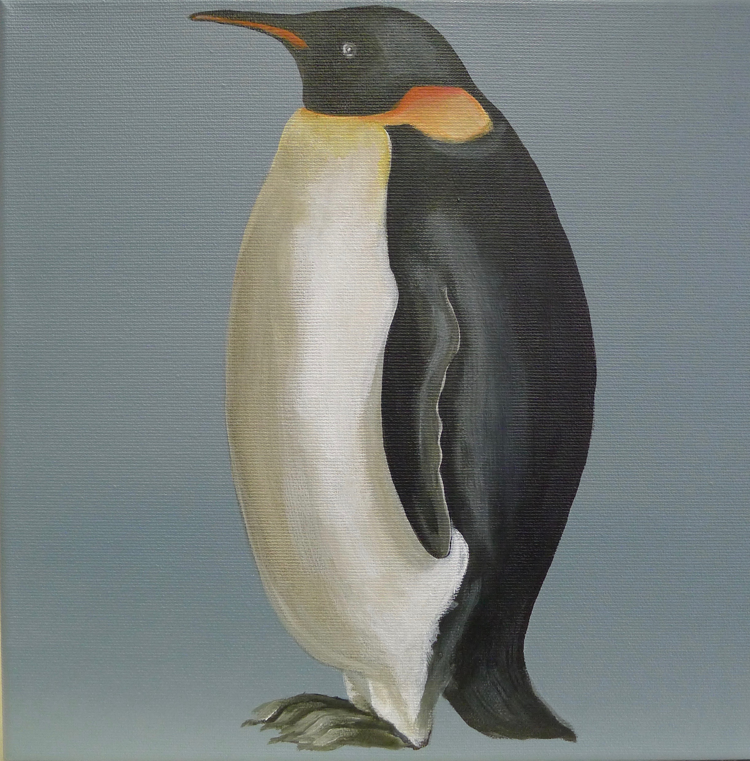 The Emperor Penguin