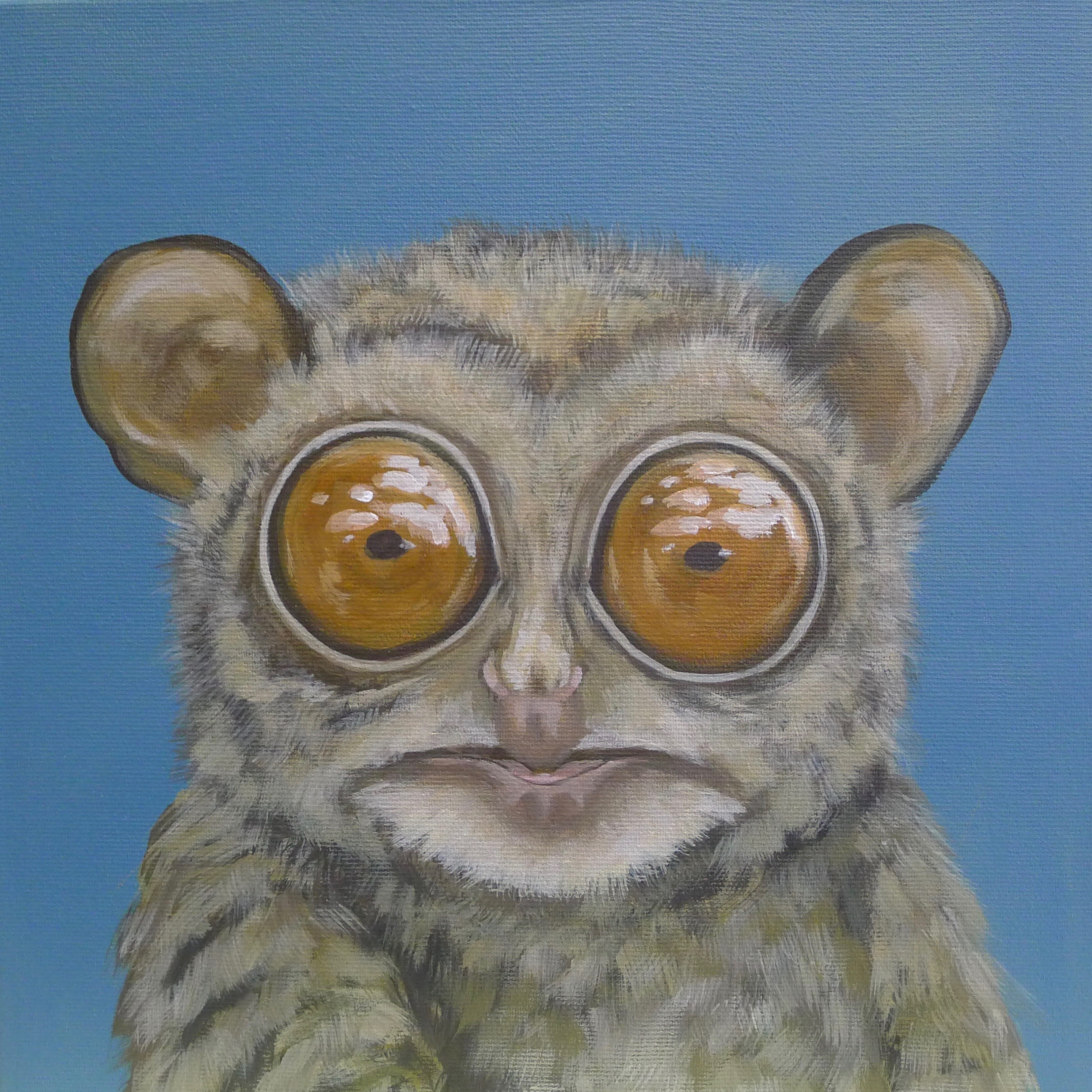The Madagascar Tarsier