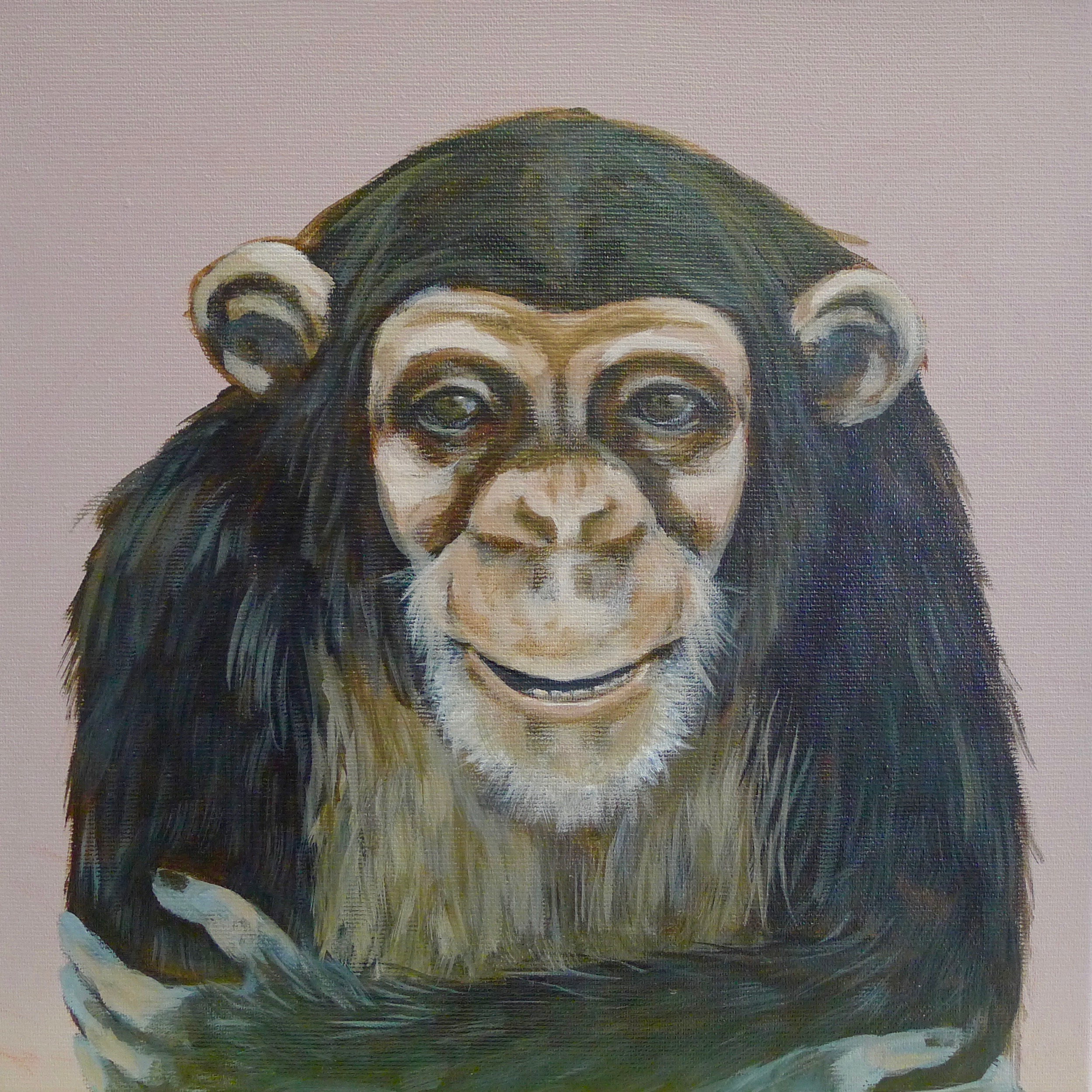 The Chimpanzee