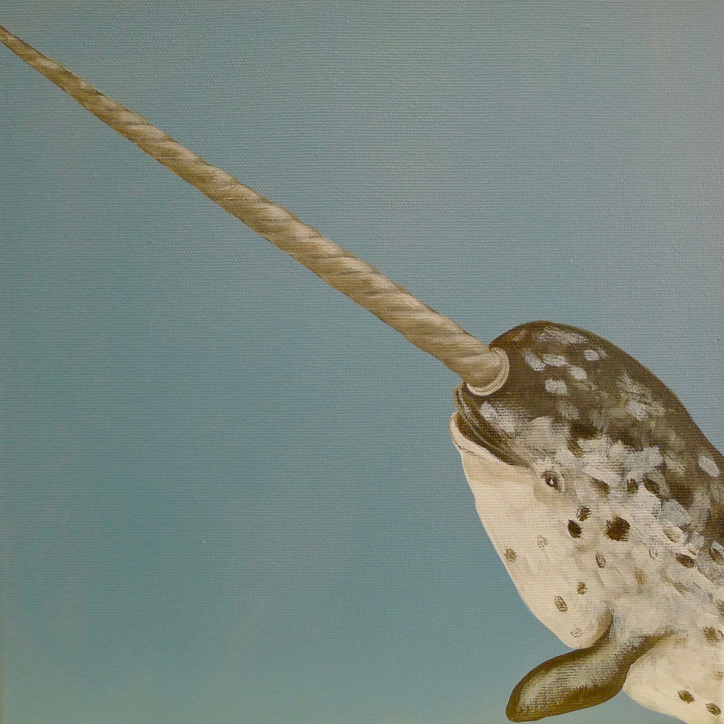 The Narwhale