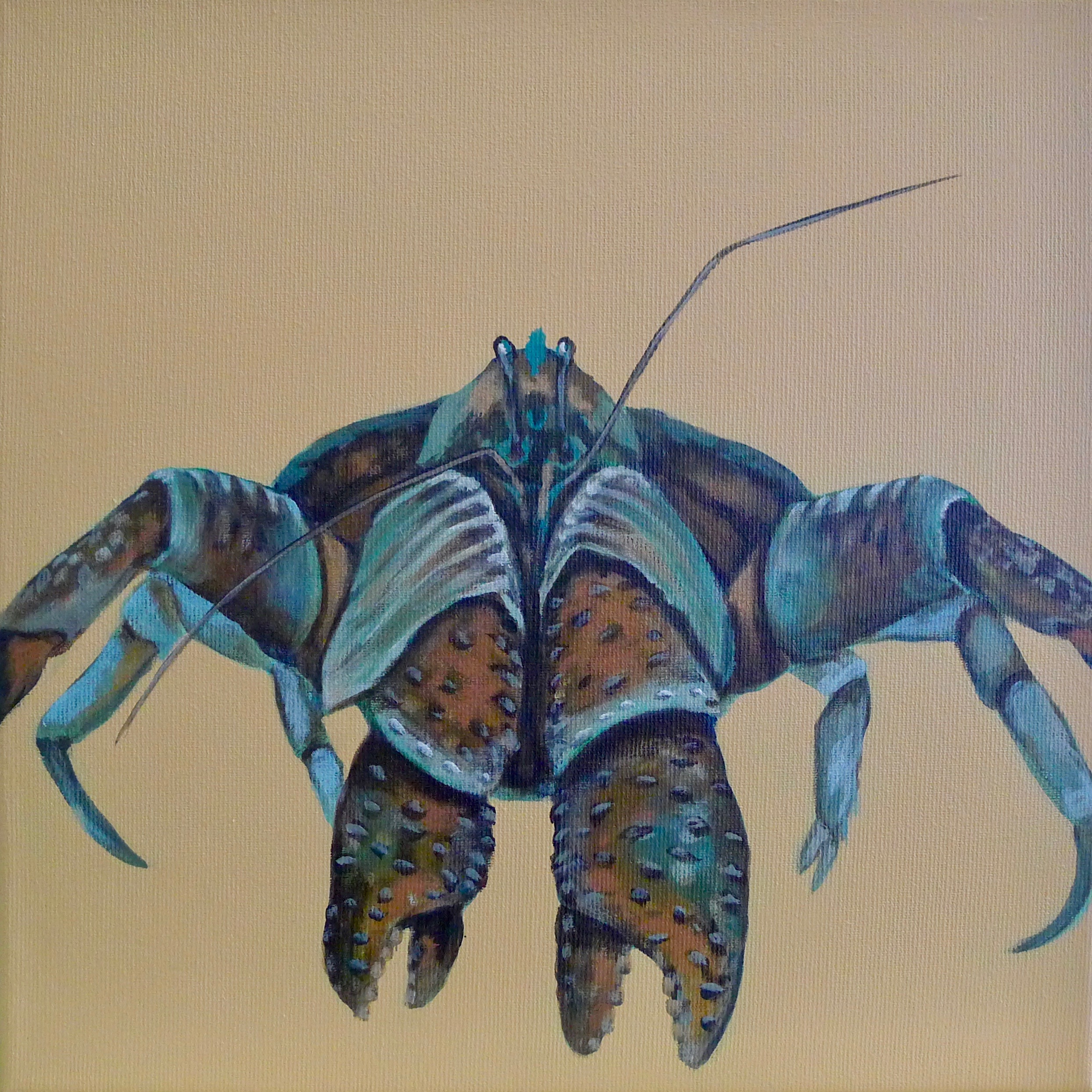 The Coconut Crab