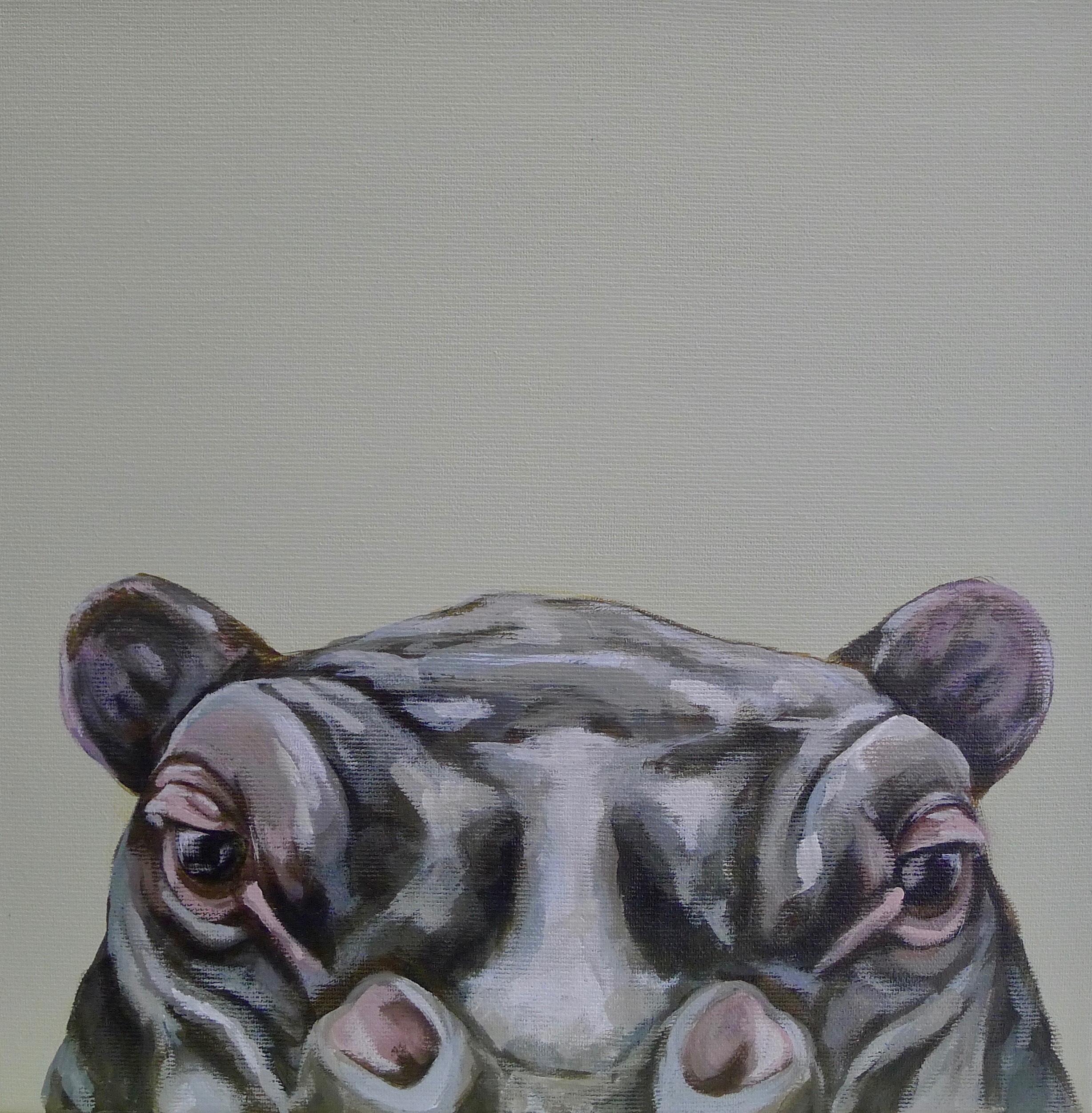 The Hippopotamus