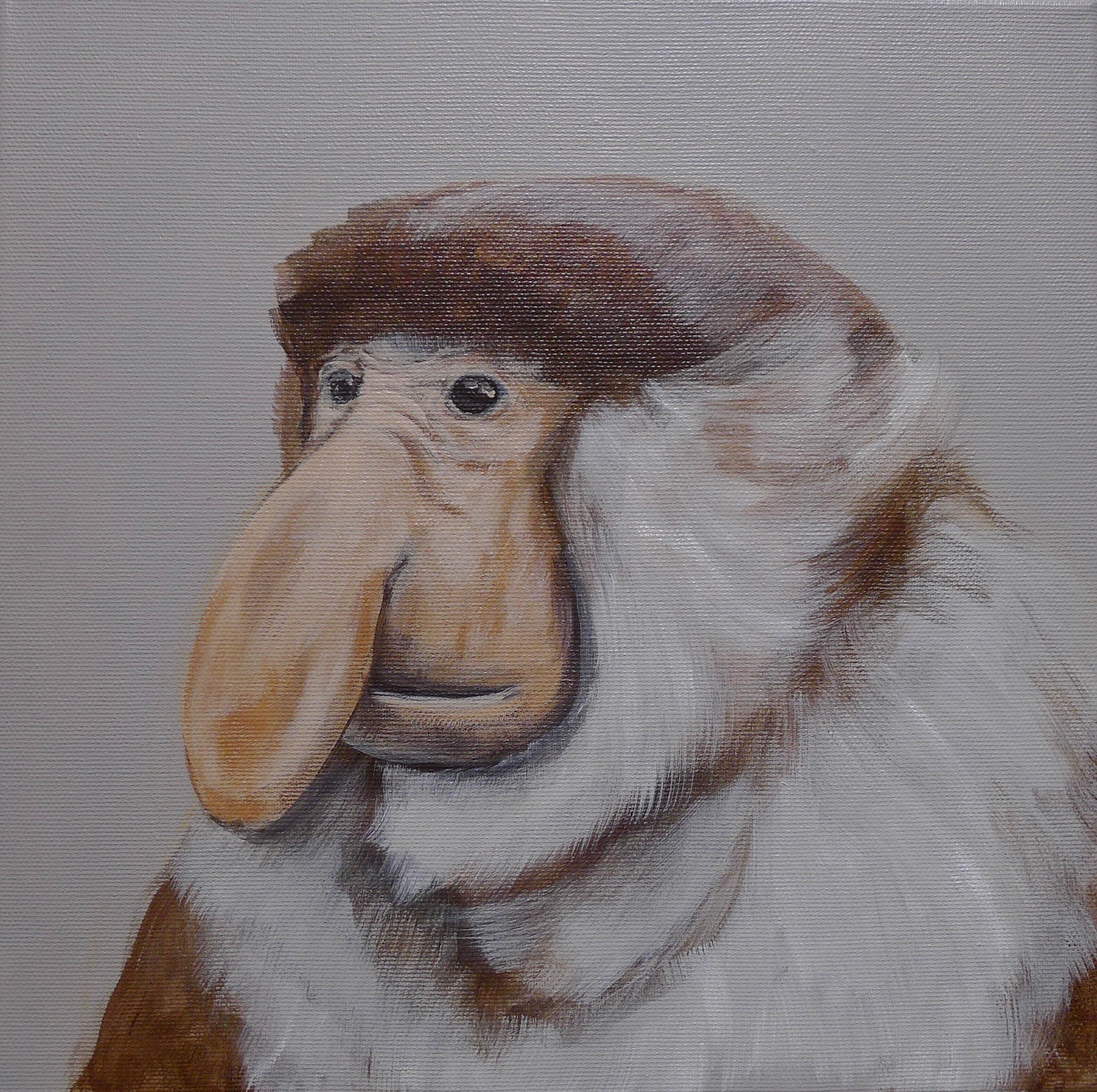 The Proboscis Monkey