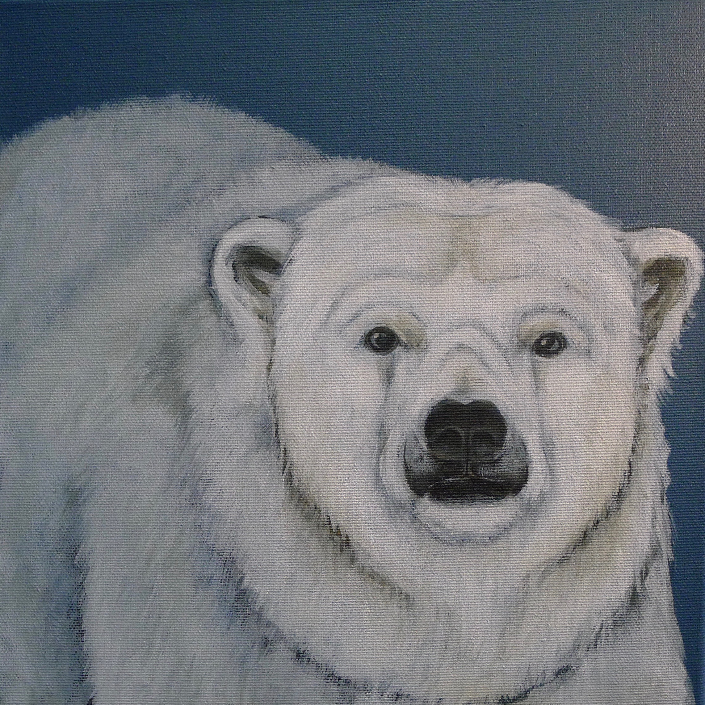 The Ice bear