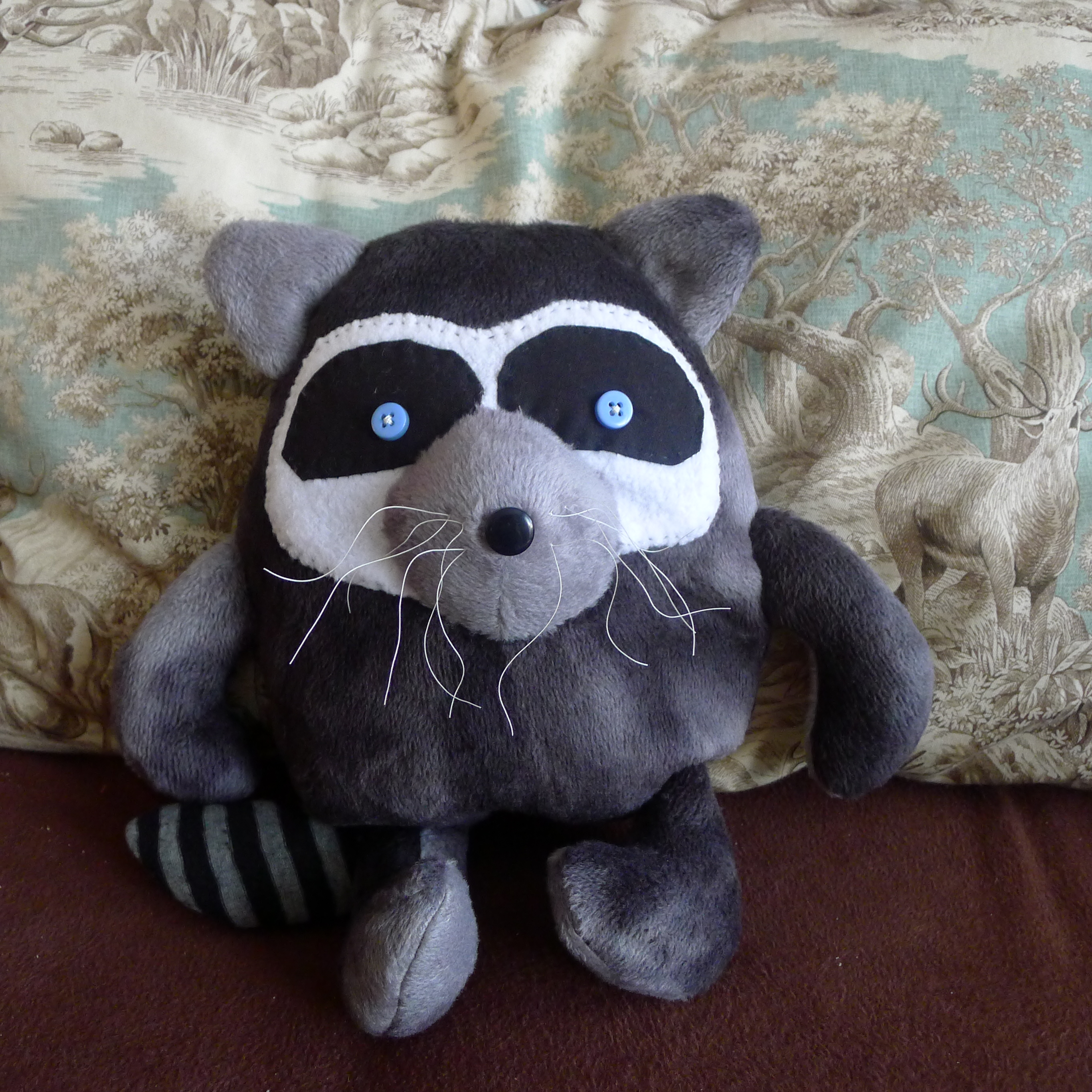 Raccoo