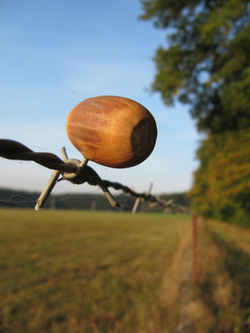 September 26, 2011 rough landing