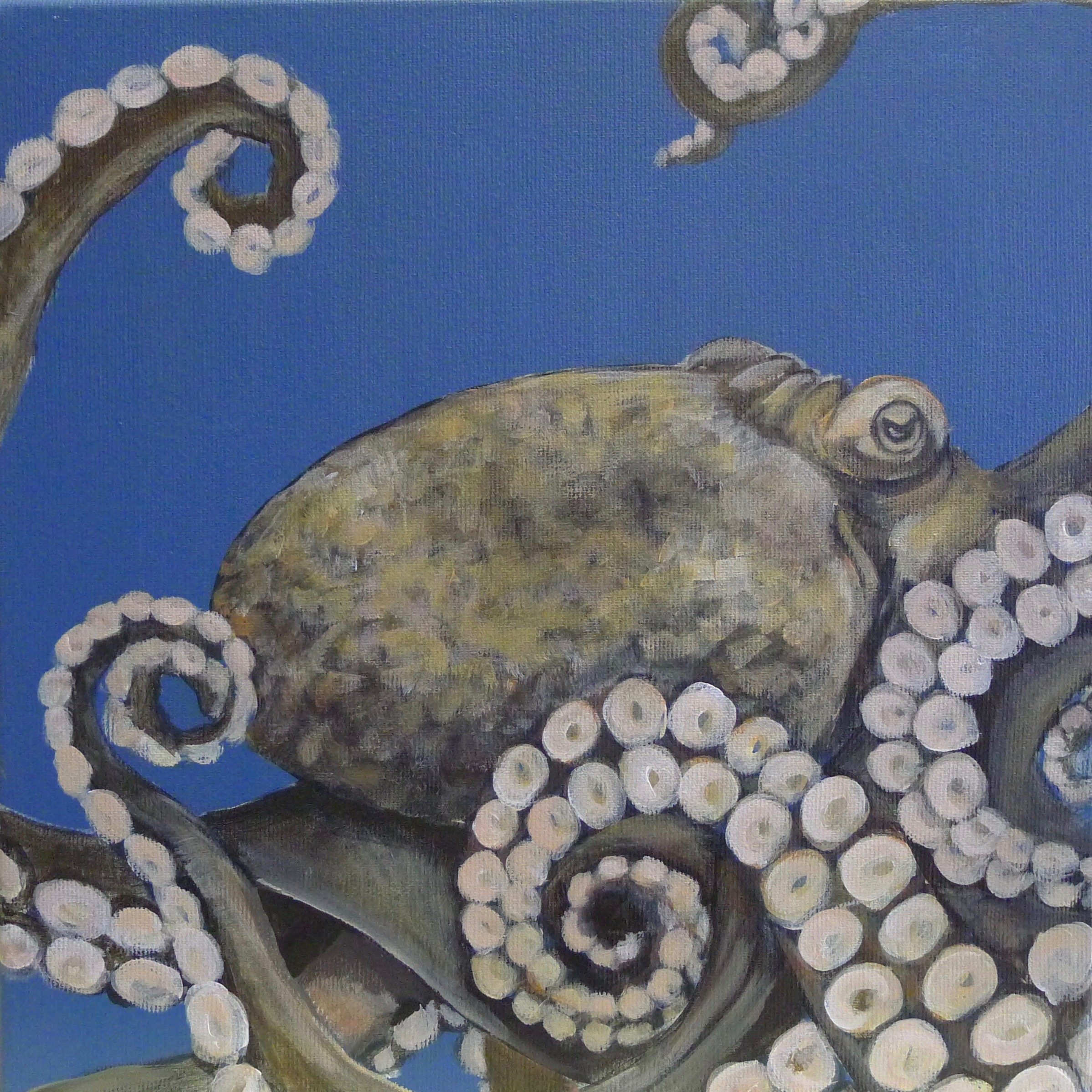 The Octopuss