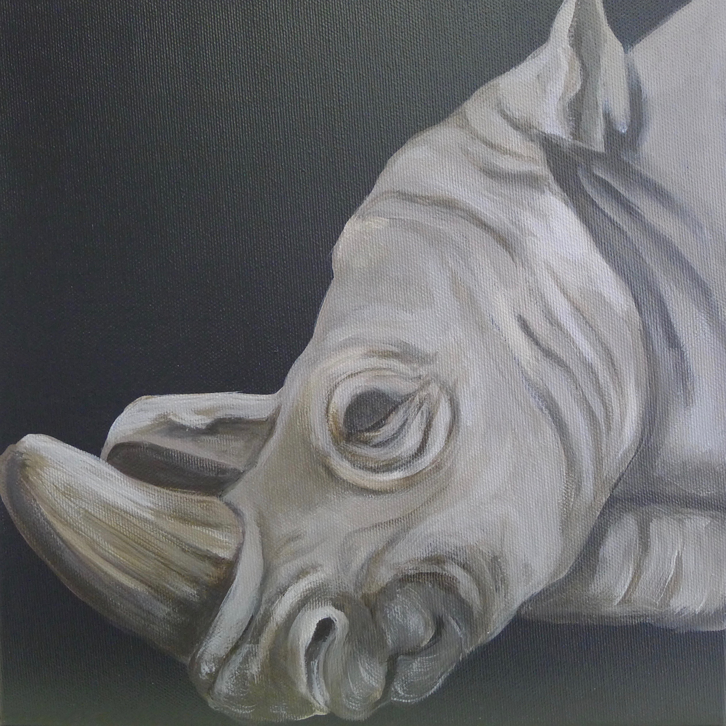 The White Rhinoceros