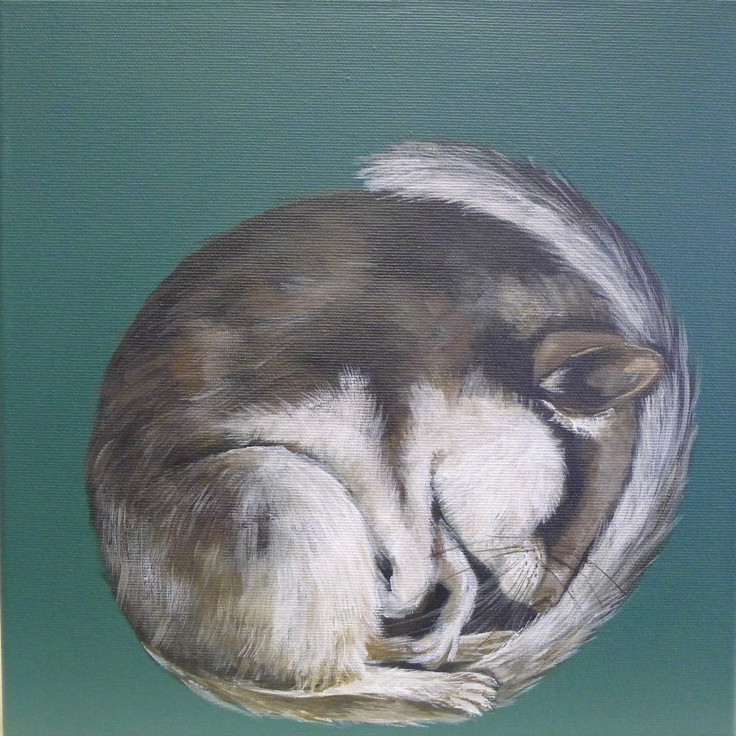 The Dormouse