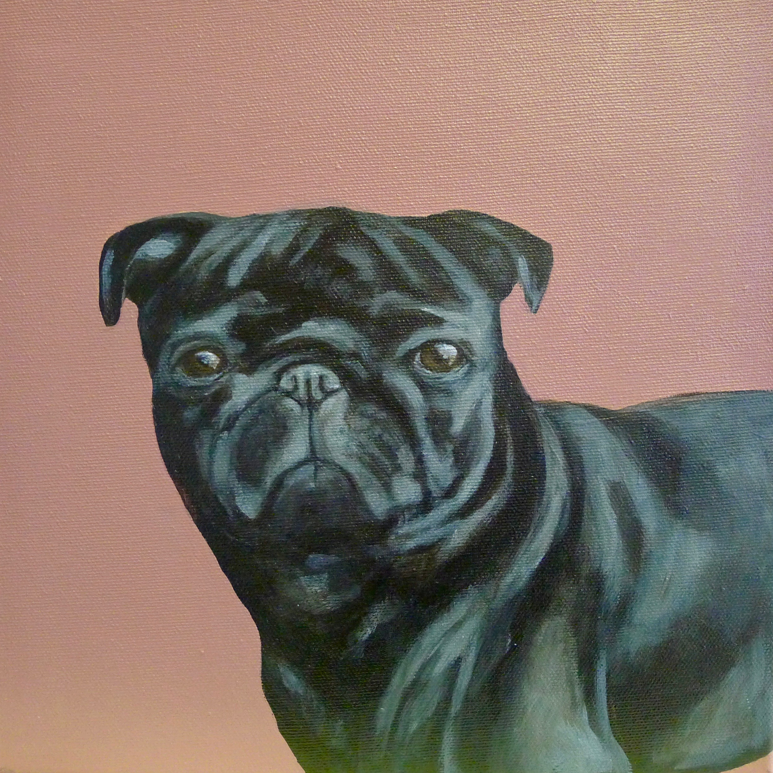 The Pug