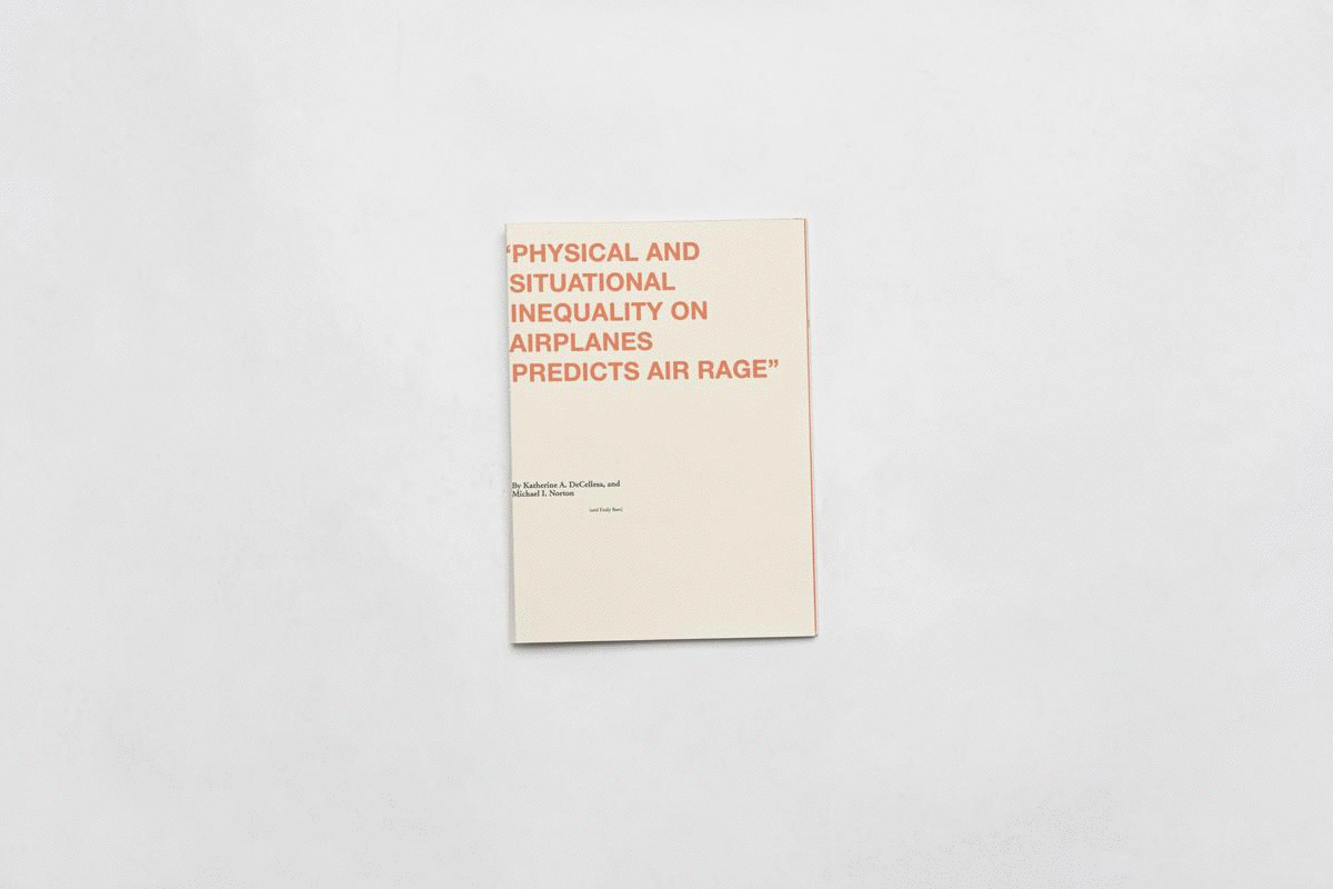AirplaneBook.gif