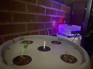 Modulo De Control Iot Para Cultivos Hydroponia. Interfaz Arduino Y Alexa. Hardware Esp32