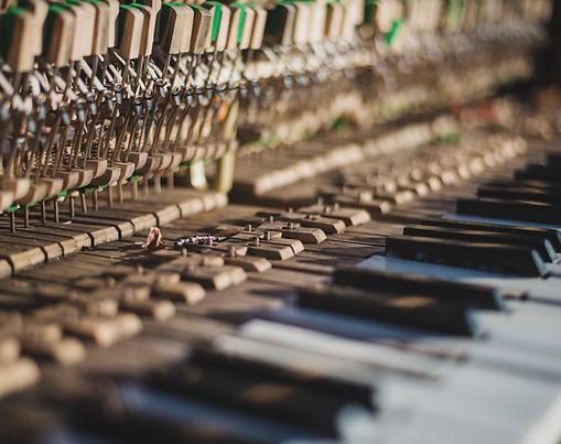 Tuning, Repairs & Maintainance