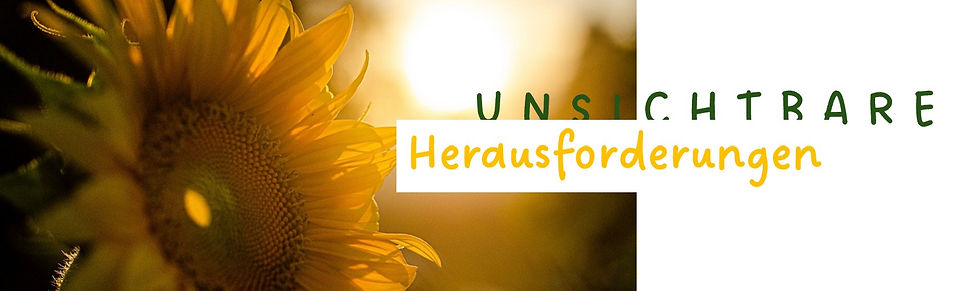 Unsichtbare Herausforderungen.jpg