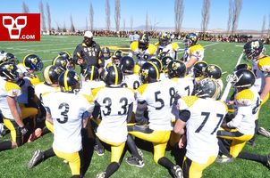 ABEJAS SE DECLARAN LISTOS PARA TEMPORADA 2016