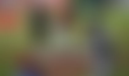 Busca Chimex repetir el sueño