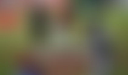Busca Chimex repetir el sueño